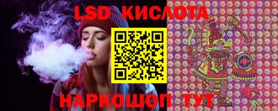 индика Кингисепп