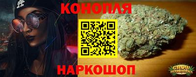 PSILOCYBIN Кинель