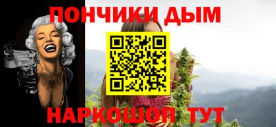 индика Кингисепп