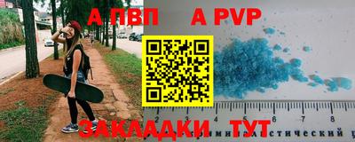 индика Кингисепп