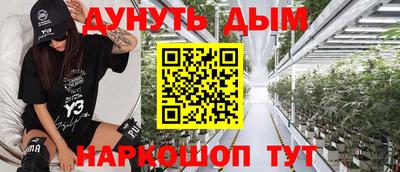 индика Кингисепп