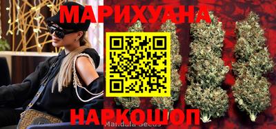 PSILOCYBIN Кинель