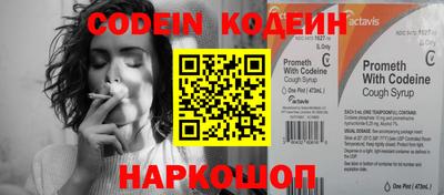 индика Кингисепп