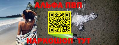 индика Кингисепп